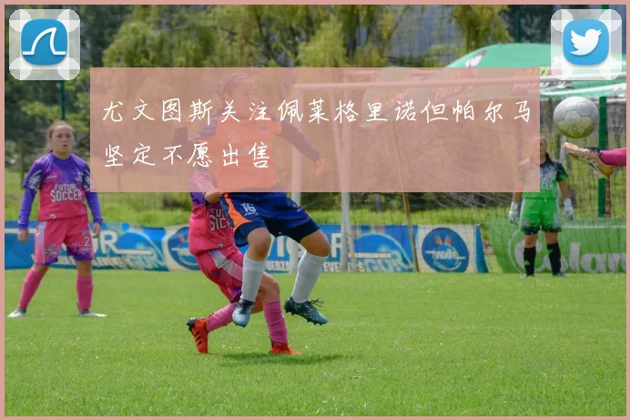 尤文图斯关注佩莱格里诺但帕尔马坚定不愿出售